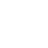 logo_sarubbi